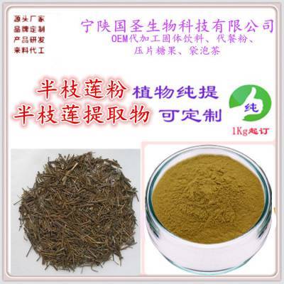 半枝蓮提取物 半枝蓮粉 工廠直銷 濃縮提取
